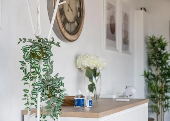 公寓 Moderno Recien Reformado En Cruz 01