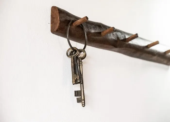 Moderno Recien Reformado En Cruz 01